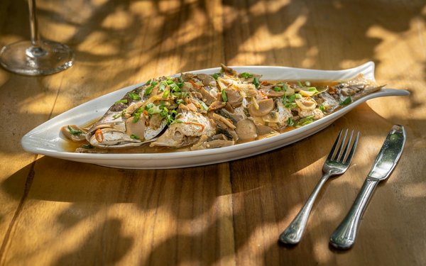 Transcription and subtitle generator powered by AI