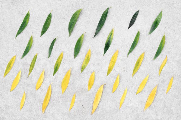 How to Implement Renewable Energy Sources in UK's Historic Buildings?